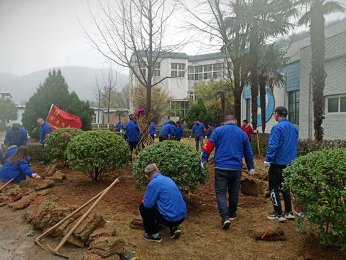 2025年3月12日植树活动 (6).jpg